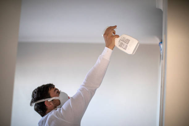 Best Commercial Mold Remediation in Meadow Oaks, FL