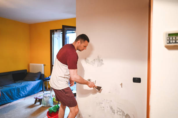 Best Post-Flood Mold Remediation in Meadow Oaks, FL